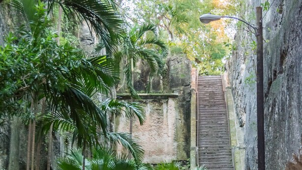 A narrow stone pathway leading up a staircase surrounded by lush greenery and a rustic stone wall. - Comfort Breeze Studio (Nassau)