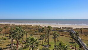 A coastal view with a beach, palm trees, and a boardwalk. - Pelican Pathway by Ryson Vacation Rentals (Galveston)