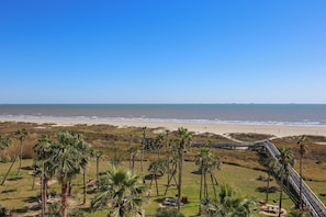 A coastal view with a beach, palm trees, and a boardwalk.