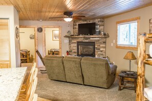 Smart TV, fireplace, DVD player, video library