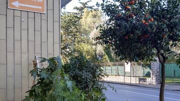 DĂ©tail de lâextĂ©rieur