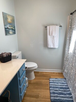 A bathroom with a toilet, a sink with a towel holder, a blue cabinet, a wooden floor, a striped rug, and a shower curtain. - Crescent Beach, just over a block from Ocean…easy quick walk from house to beach (North Myrtle Beach)