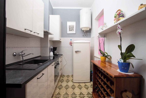 Fridge, oven, stovetop, dishwasher