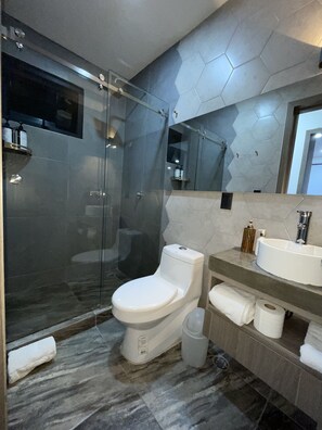 Dusche, Haartrockner, Seife, Toilettenpapier