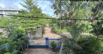 House the of mango