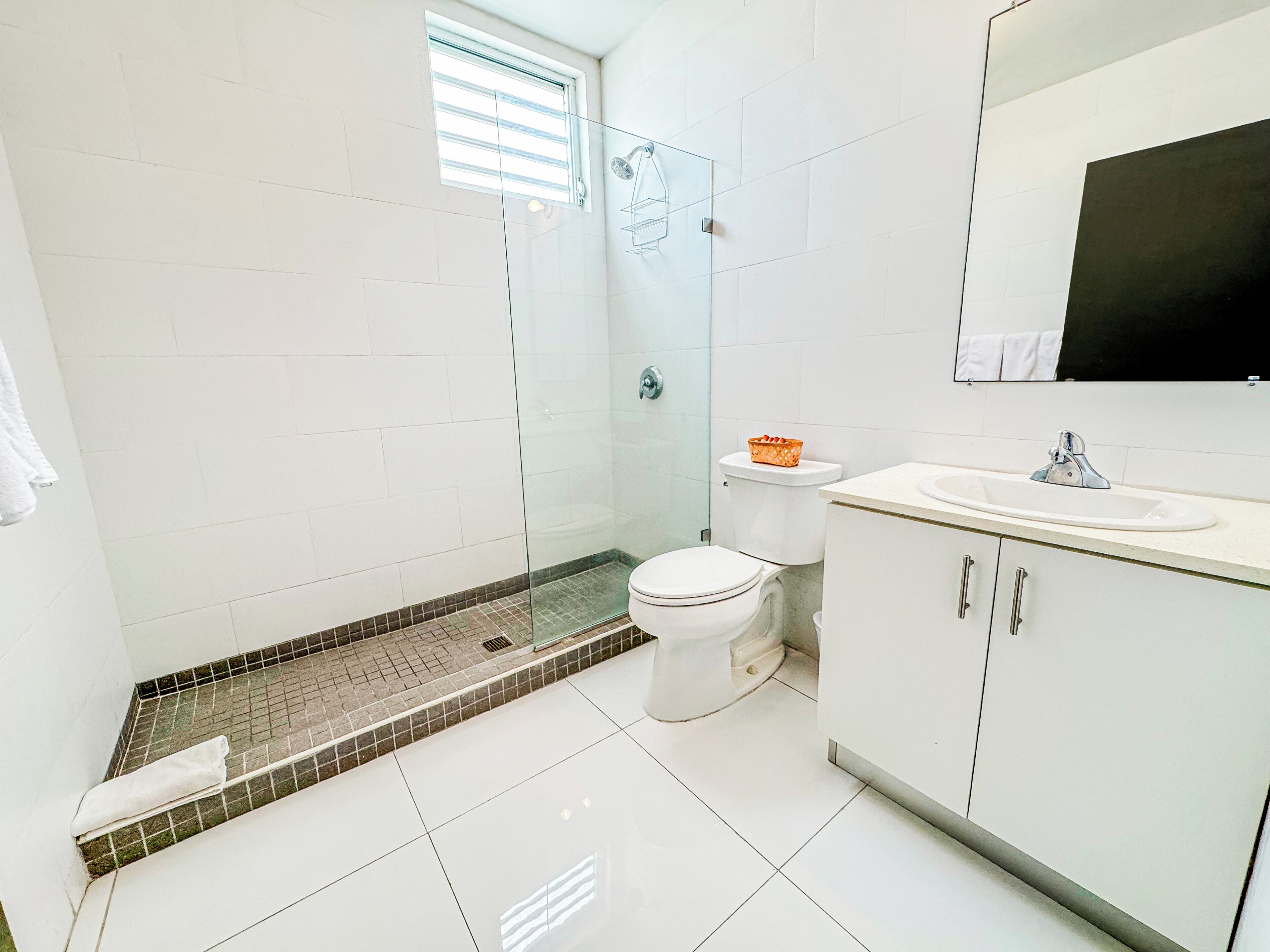 A modern bathroom with a glass shower enclosure, a toilet, and a sink with a mirror above it.