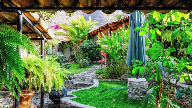 A lush garden with a stone pathway, potted plants, and a wooden pergola structure. - Casa Aurora Garden Retreat (Ajijic)
