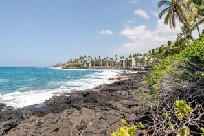 A coastal hotel with a rocky shoreline, ocean waves, and palm trees.