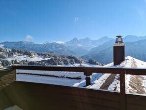 Property grounds - Cosy apartment for 3 people with WIFI, TV and balcony (Beatenberg)
