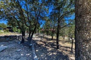 Property grounds - Whispering Woods | King Suite + Wildlife Views (Alto)