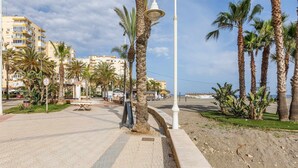 En anlagt promenade med palmer, bænke og en lygtepæl.