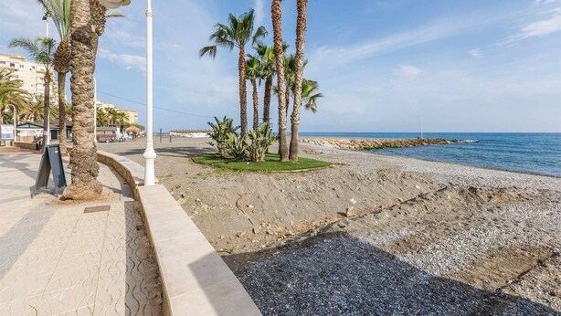 En kystpromenade med palmer, en belagt sti og en stenstrand.