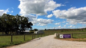 Een landweg die naar een boerderij leidt, met een bord waarop 'Short Sheep Farm' staat.