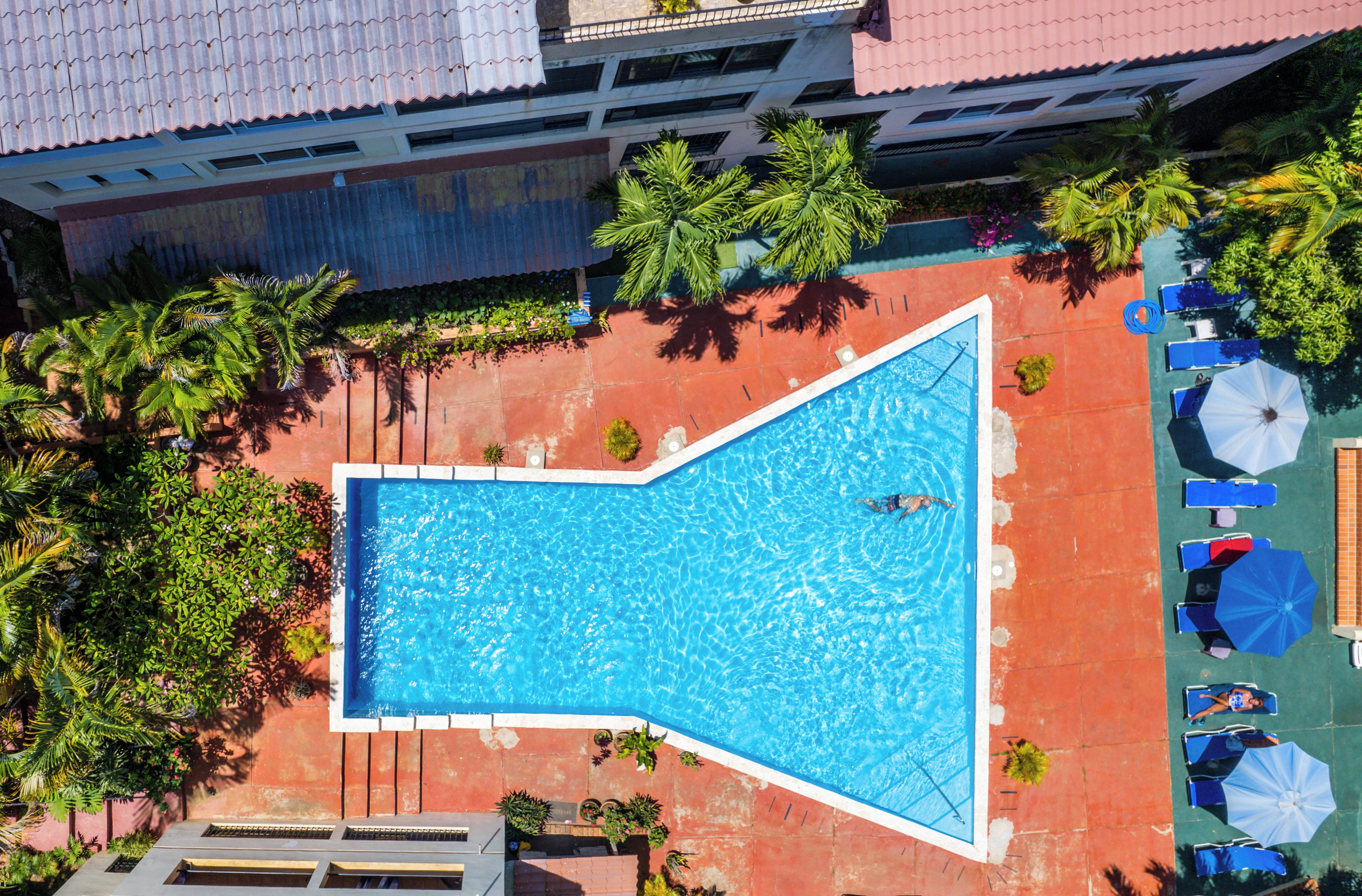 Vista aerea di una piscina circondata da palme e sdraio.