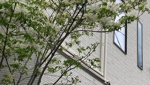 A building with a sign for Asakusa HomeSuites in Tokyo. - Asakusa HomeSuites Tokyo (Tokyo)