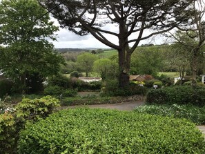 Property grounds - Cozy Camborne Studio Retreat with two single beds (Camborne)