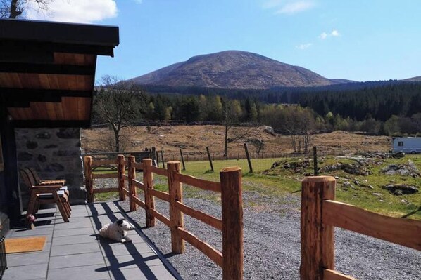 Terrace/patio - 1 Bed Cabin in the Magical Galloway Forest Park (Newton Stewart)