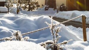 A wooden cabin with a snow-covered roof, surrounded by snow and a small tree.
