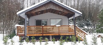 Lakeside Cabin - Beaver Lake Resort - Pet friendly - legal short term rental
