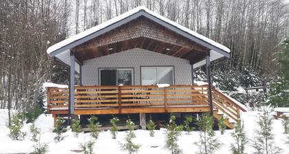 Lakeside Cabin - Beaver Lake Resort - Pet friendly - Airbnb Legal!