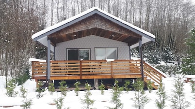 Lakeside Cabin - Beaver Lake Resort - Pet friendly - legal short term rental