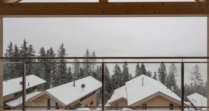 Superior # 02 Sauna&Sprudelwanne innen by Interhome