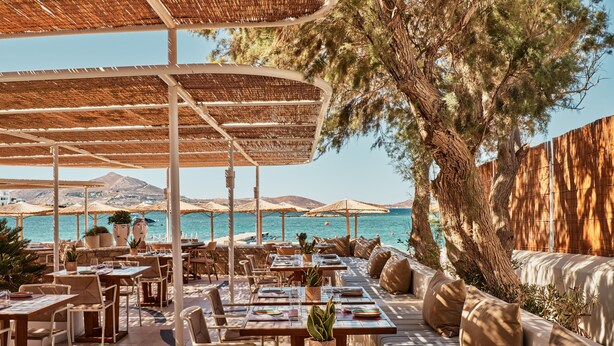An outdoor dining area with tables and chairs, surrounded by umbrellas and a large tree. - Cosme, A Luxury Collection Resort, Paros (Paros)