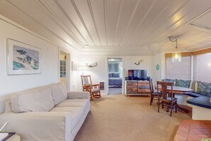 TV, fireplace, books