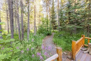 Overnattingsstedets uteområder