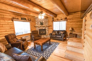 Smart TV, chimenea y reproductor de DVD 