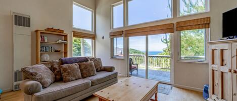 TV, video games, DVD player, books