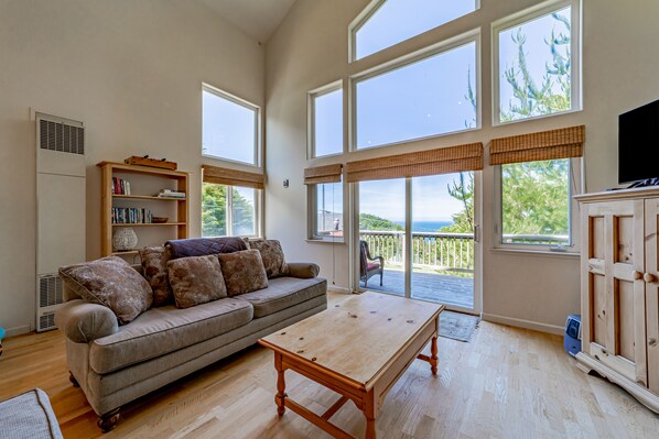 TV, video games, DVD player, books