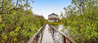 Oceanfront beach house near town with washer/dryer- dog-friendly