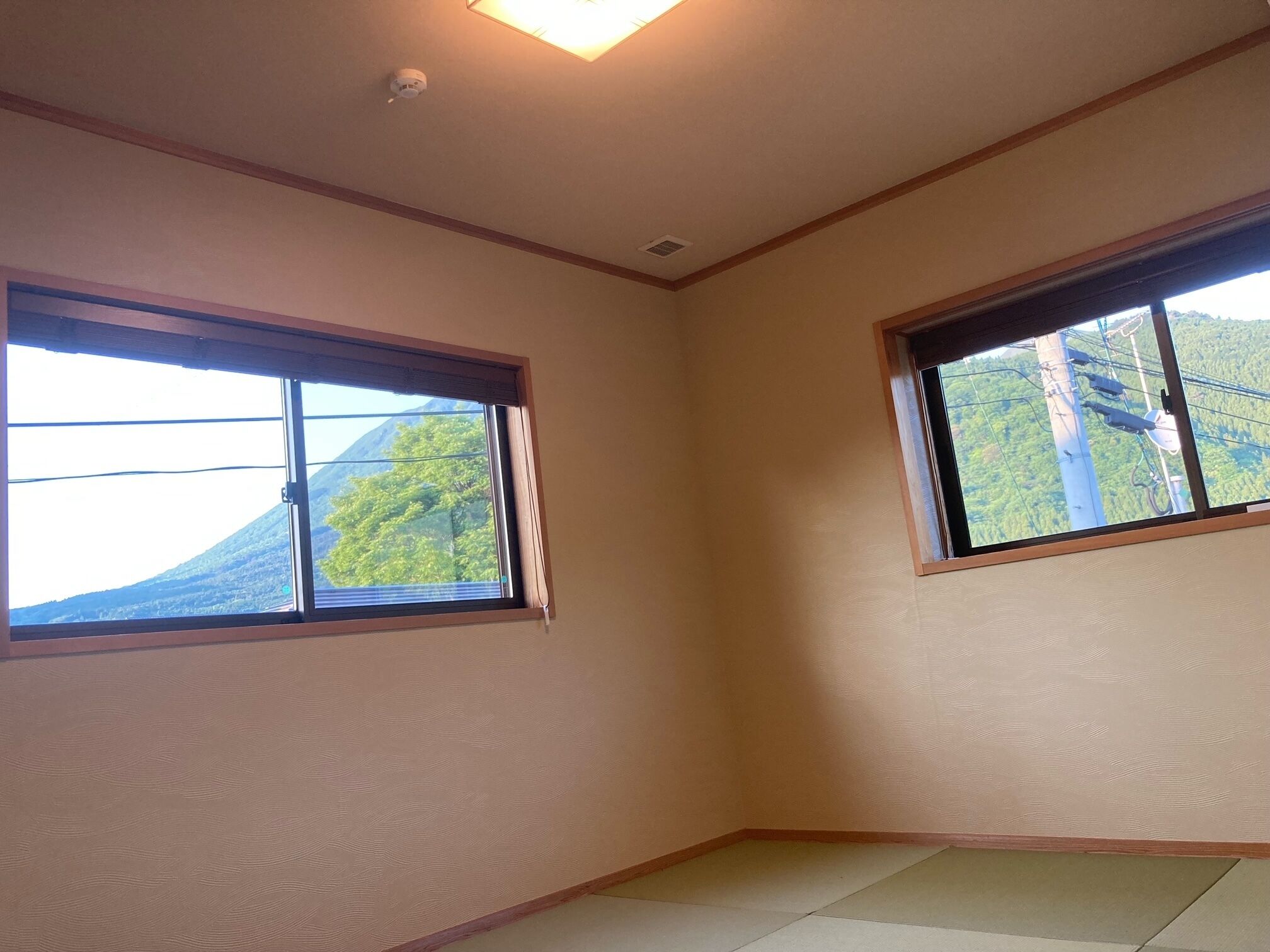 Una stanza con due finestre, una lampada a soffitto e un muro decorato.