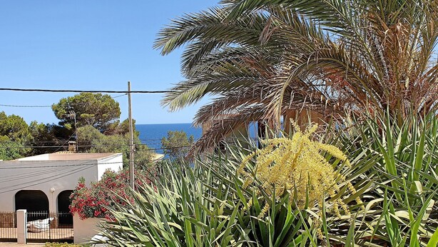 Una proprietà costiera con vista sul mare, circondata da vegetazione rigogliosa e un piccolo edificio con un portale ad arco.
