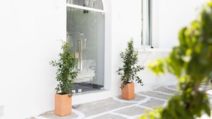 A white building with a large glass door and a window. There are two potted plants in front of the door. - Naxian Memories (Naxos)