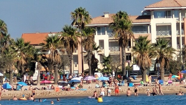 Een strand met palmbomen en mensen die zwemmen.