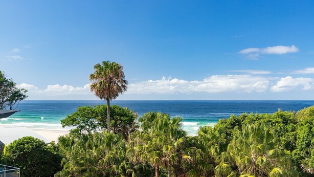 Una spiaggia tropicale con vegetazione lussureggiante e una limpida vista sull'oceano.