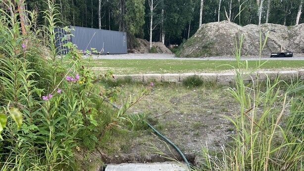 A concrete staircase leading up to a building, surrounded by vegetation and a grassy area. - Private Lake Front with boat launch and dock. (Kenai)