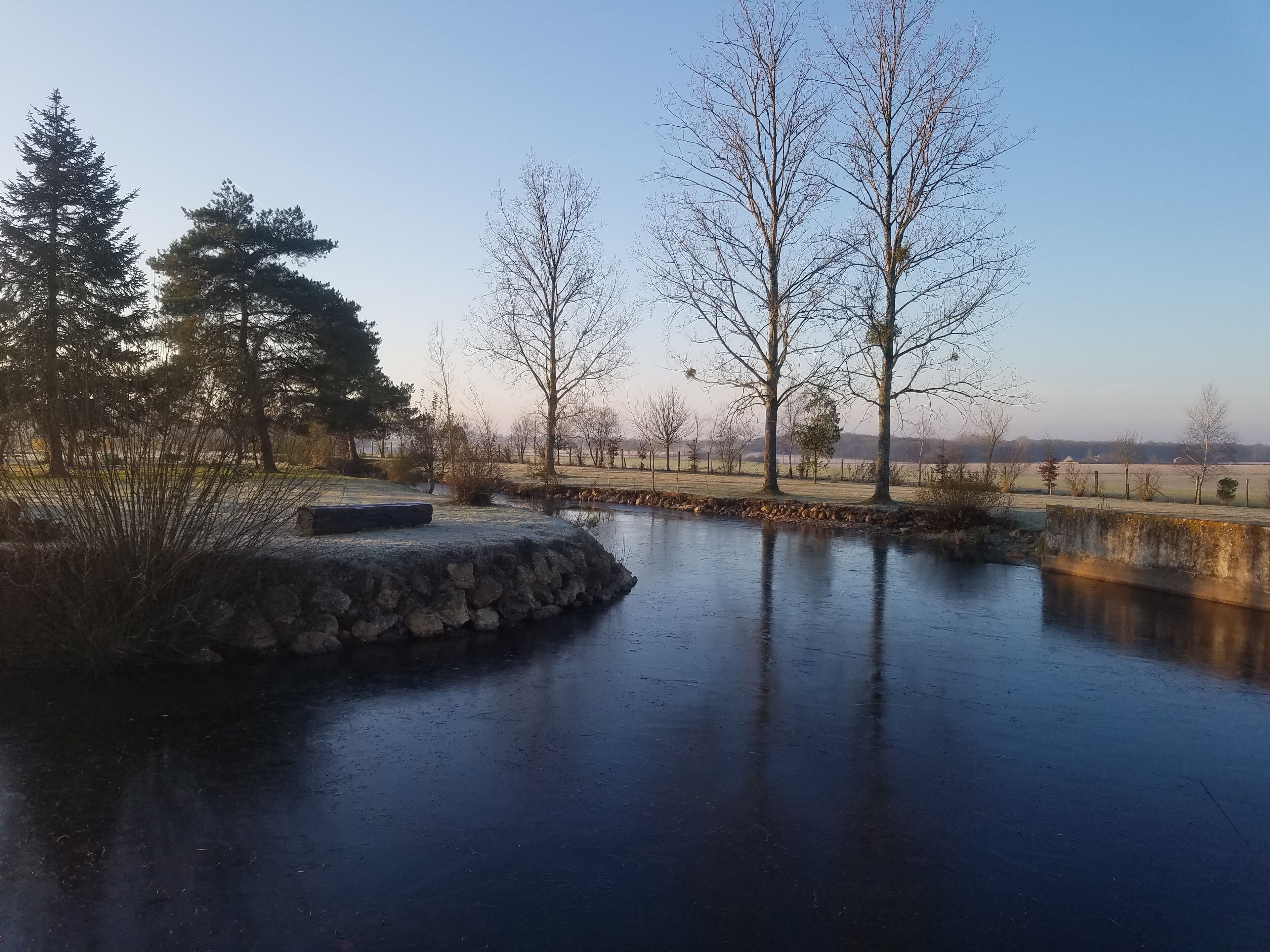 A tranquil outdoor setting with a pond, stone wall, and trees.