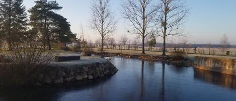 A tranquil outdoor setting with a pond, stone wall, and trees.
