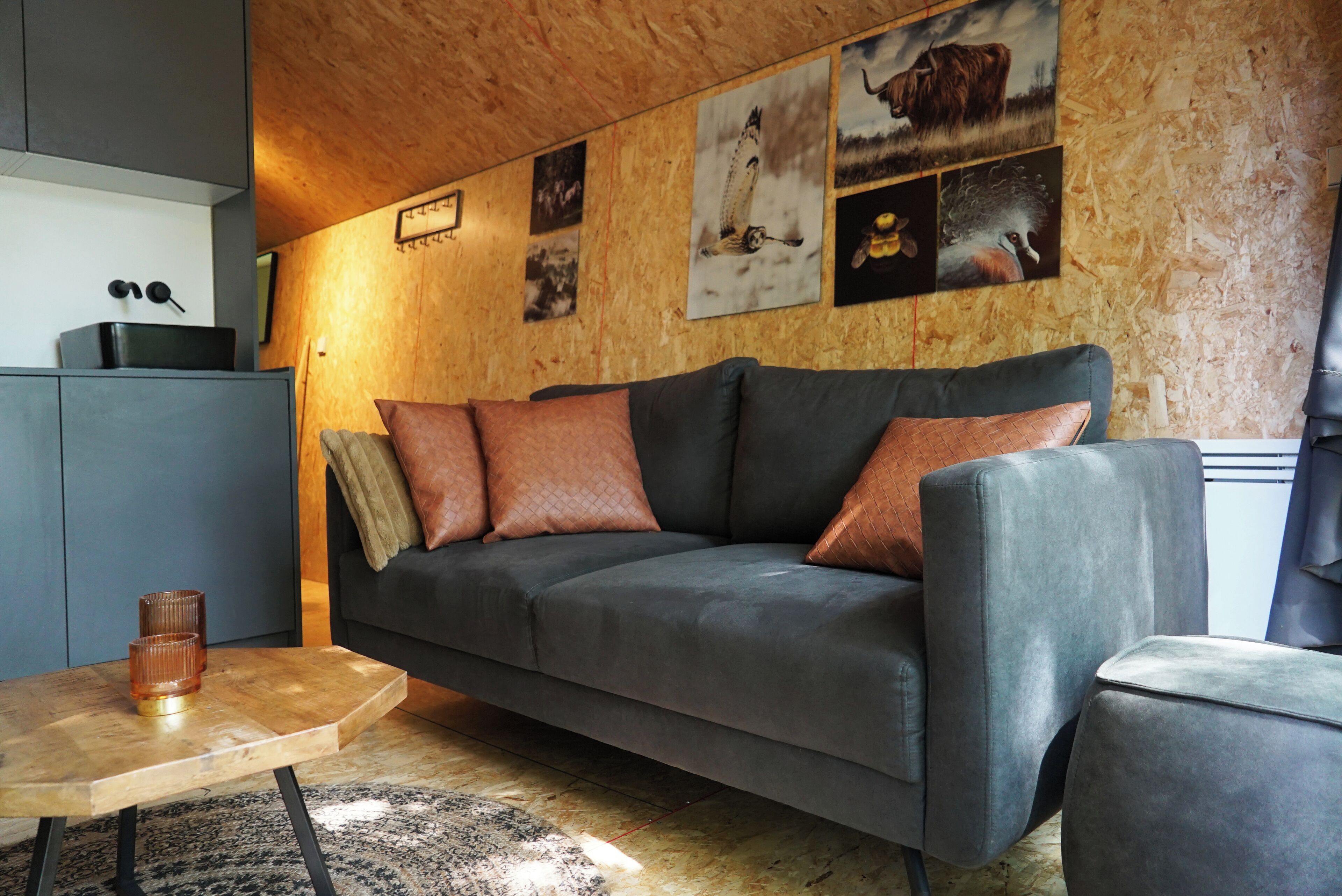 A modern living room with a grey sofa, a wooden coffee table, and a rug.
