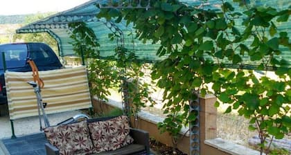 Apartments Vala
