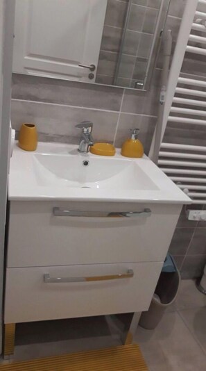 Douche, séchoir à cheveux, serviettes fournies, savon
