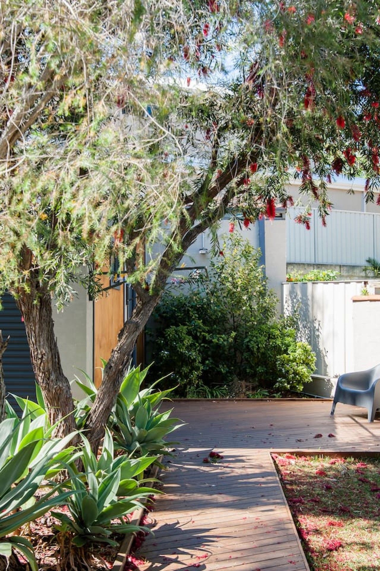 Une terrasse en bois avec un pot de fleurs, une chaise et une clôture en arrière-plan.