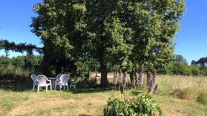 Un montaje para picnic con sillas de plástico blanco y una mesa bajo un árbol grande.