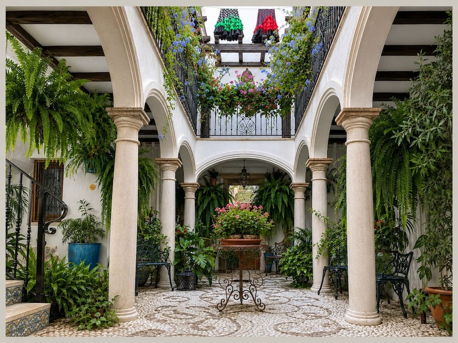 Terraza o patio