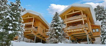 #29 mit IR-Sauna und Sprudelbad Innen by Interhome