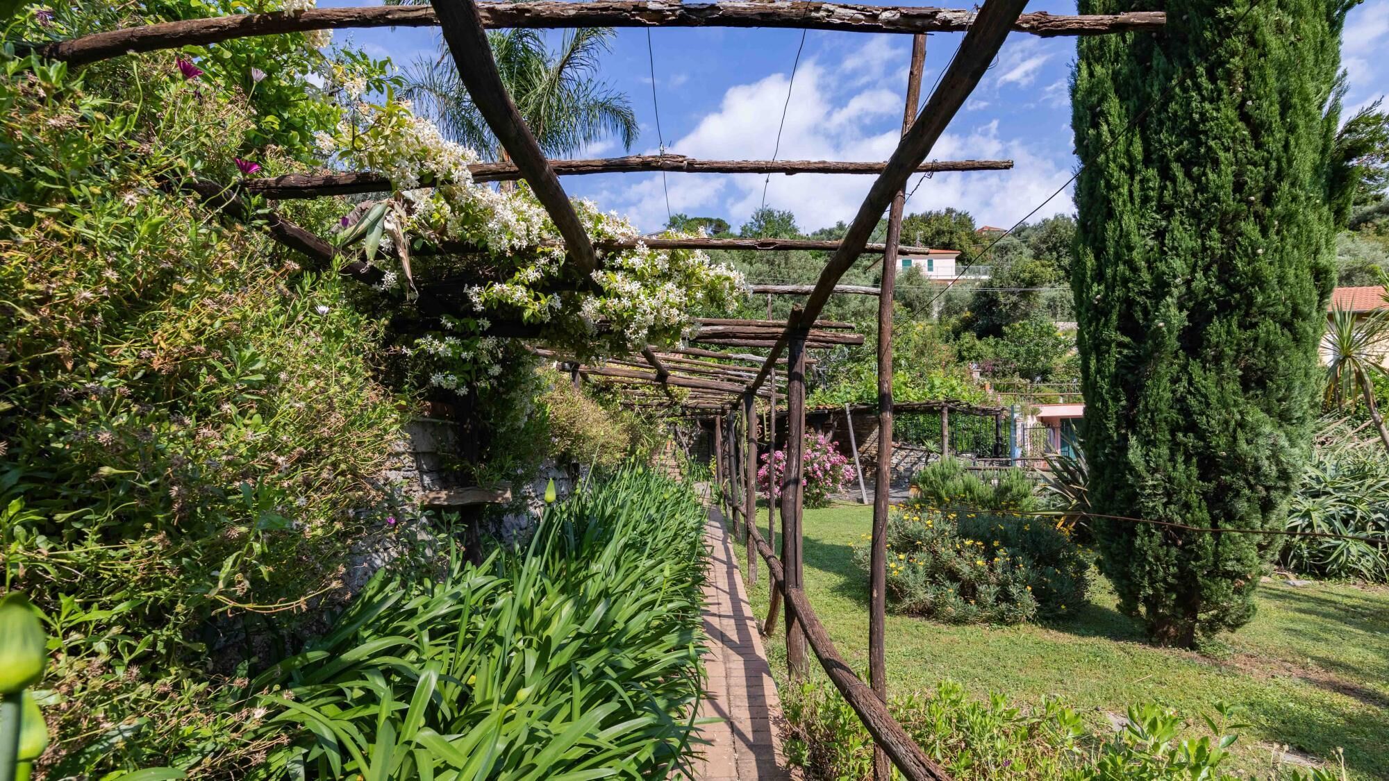 A garden with a wooden pergola, various plants, and a pathway.