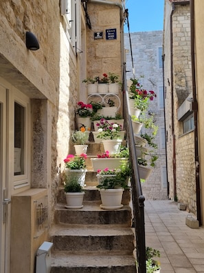 Property grounds - Center Perfect Spot (Split)